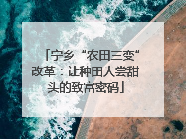 宁乡“农田三变”改革：让种田人尝甜头的致富密码