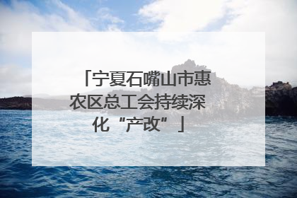 宁夏石嘴山市惠农区总工会持续深化“产改”