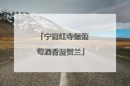 宁夏红寺堡葡萄酒香漫贺兰