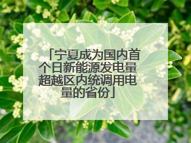 宁夏成为国内首个日新能源发电量超越区内统调用电量的省份