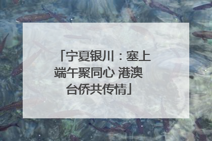 宁夏银川：塞上端午聚同心 港澳台侨共传情