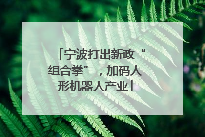 宁波打出新政“组合拳”，加码人形机器人产业
