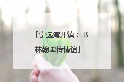 宁远湾井镇：书林翰墨传情谊