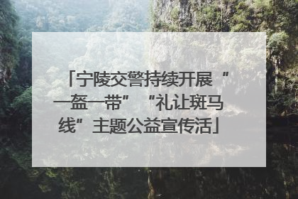 宁陵交警持续开展“一盔一带”“礼让斑马线”主题公益宣传活