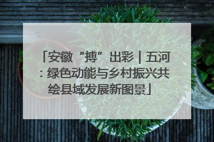 安徽“搏”出彩｜五河：绿色动能与乡村振兴共绘县域发展新图景