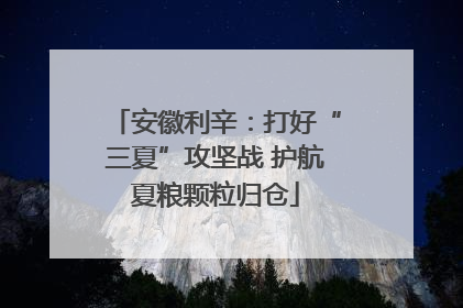 安徽利辛：打好“三夏”攻坚战 护航夏粮颗粒归仓