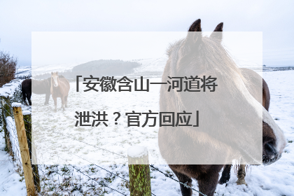 安徽含山一河道将泄洪？官方回应