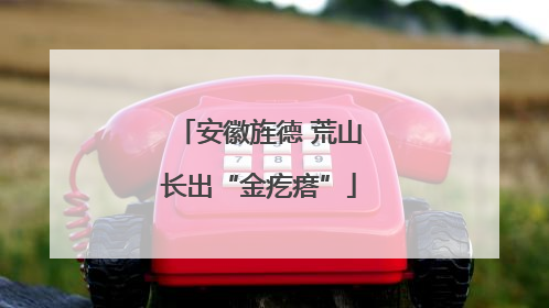 安徽旌德 荒山长出“金疙瘩”
