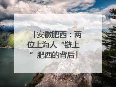 安徽肥西：两位上海人“链上”肥西的背后