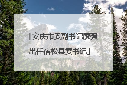 安庆市委副书记廖强出任宿松县委书记