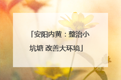 安阳内黄：整治小坑塘 改善大环境
