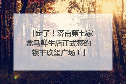 定了！济南第七家盒马鲜生店正式签约银丰玖玺广场！