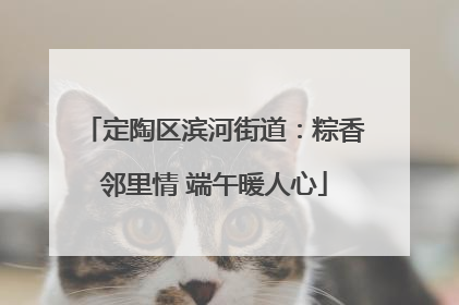 定陶区滨河街道：粽香邻里情 端午暖人心