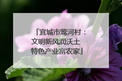 宜城市莺河村：文明新风润沃土 特色产业富农家