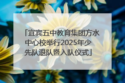 宜宾五中教育集团方水中心校举行2025年少先队退队暨入队仪式