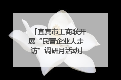宜宾市工商联开展“民营企业大走访”调研月活动