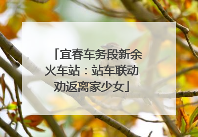 宜春车务段新余火车站：站车联动劝返离家少女