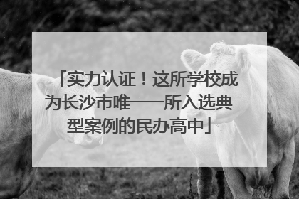 实力认证！这所学校成为长沙市唯一一所入选典型案例的民办高中