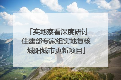 实地察看深度研讨 住建部专家组实地复核城阳城市更新项目