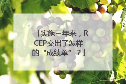 实施三年来，RCEP交出了怎样的“成绩单”？