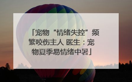 宠物“情绪失控”频繁咬伤主人 医生：宠物夏季易情绪中暑