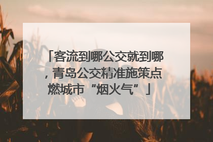 客流到哪公交就到哪，青岛公交精准施策点燃城市“烟火气”