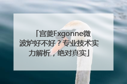 宫菱Fxgonne微波炉好不好？专业技术实力解析，绝对真实