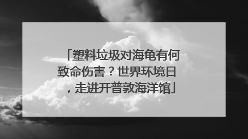 塑料垃圾对海龟有何致命伤害？世界环境日，走进开普敦海洋馆