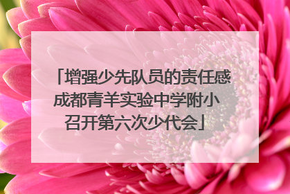 增强少先队员的责任感 成都青羊实验中学附小召开第六次少代会