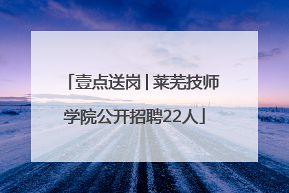 壹点送岗│莱芜技师学院公开招聘22人