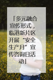多元融合宣传形式，临港新片区开展“安全生产月”宣传咨询日活动