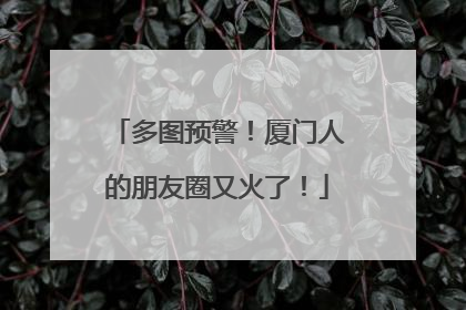 多图预警！厦门人的朋友圈又火了！
