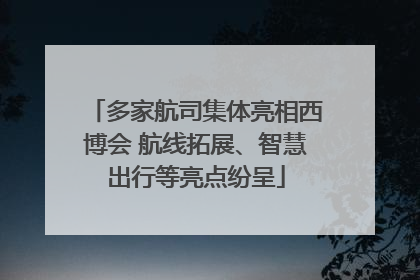 多家航司集体亮相西博会 航线拓展、智慧出行等亮点纷呈