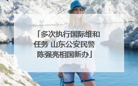 多次执行国际维和任务 山东公安民警陈强亮相国新办