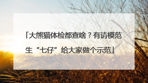 大熊猫体检都查啥？有请模范生“七仔”给大家做个示范