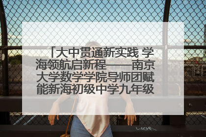 大中贯通新实践 学海领航启新程——南京大学数学学院导师团赋能新海初级中学九年级学子生涯规划