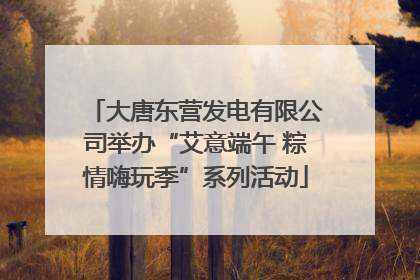 大唐东营发电有限公司举办“艾意端午 粽情嗨玩季”系列活动