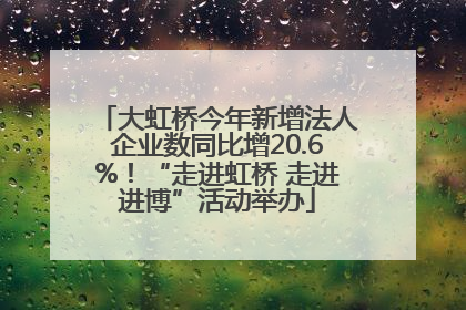 大虹桥今年新增法人企业数同比增20.6%！“走进虹桥 走进进博”活动举办