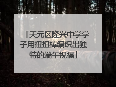 天元区隆兴中学学子用扭扭棒编织出独特的端午祝福