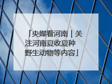 央媒看河南｜关注河南夏收夏种 野生动物等内容