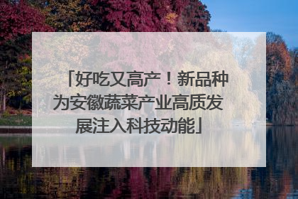 好吃又高产！新品种为安徽蔬菜产业高质发展注入科技动能