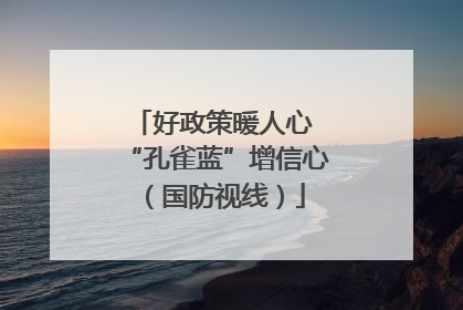 好政策暖人心 “孔雀蓝”增信心（国防视线）