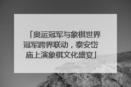 奥运冠军与象棋世界冠军跨界联动，泰安岱庙上演象棋文化盛宴