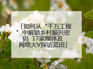 如何从“千万工程”中解锁乡村振兴密码  17家媒体及网络大V探访蓝田