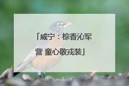 威宁：棕香沁军营 童心敬戎装