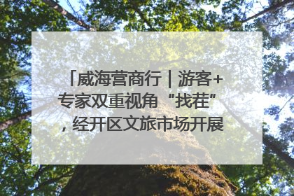威海营商行｜游客+专家双重视角“找茬”，经开区文旅市场开展暑期前“体检”