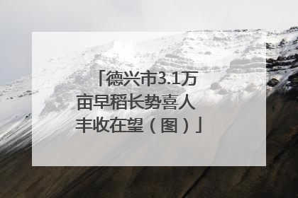 德兴市3.1万亩早稻长势喜人 丰收在望（图）
