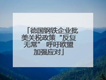 德国钢铁企业批美关税政策“反复无常” 呼吁欧盟加强应对