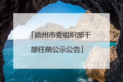 德州市委组织部干部任前公示公告