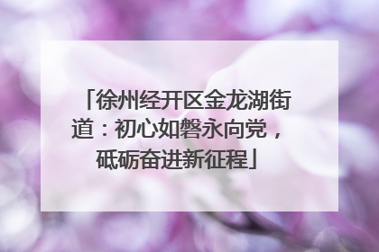 徐州经开区金龙湖街道：初心如磐永向党，砥砺奋进新征程